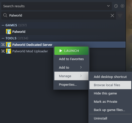 Palworld on Steam Options